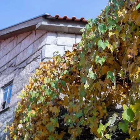 Casa Do Palheiro 度假居 *