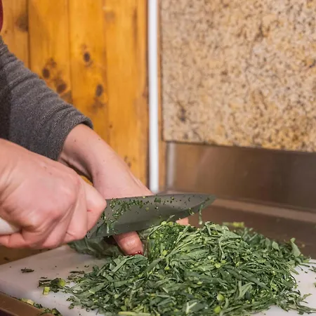 Casa vacanze Casa Do Palheiro