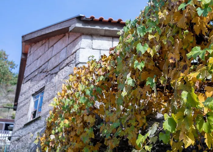 Casa Do Palheiro Casa de Férias *