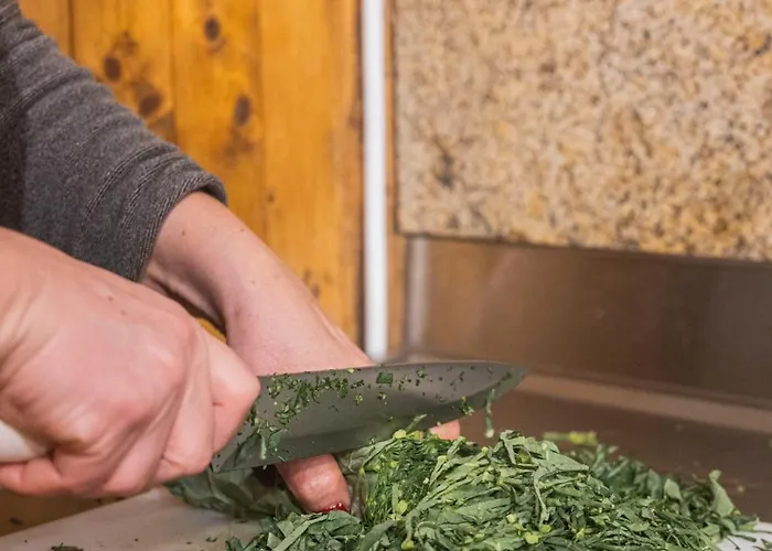 Tatil Evi Casa Do Palheiro